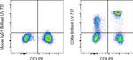 CD8a Antibody in Flow Cytometry (Flow)