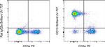 CD19 Antibody in Flow Cytometry (Flow)