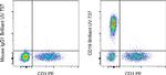 CD19 Antibody in Flow Cytometry (Flow)