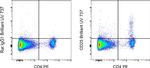 CD25 Antibody in Flow Cytometry (Flow)