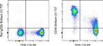 CD45 Antibody in Flow Cytometry (Flow)