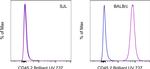 CD45.2 Antibody in Flow Cytometry (Flow)