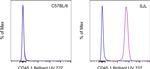 CD45.1 Antibody in Flow Cytometry (Flow)