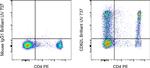 CD62L (L-Selectin) Antibody in Flow Cytometry (Flow)