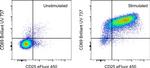 CD69 Antibody in Flow Cytometry (Flow)