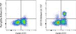 CD170 (Siglec F) Antibody in Flow Cytometry (Flow)