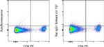 Rat IgG1 kappa Isotype Control in Flow Cytometry (Flow)