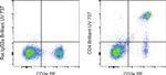 Rat IgG2a kappa Isotype Control in Flow Cytometry (Flow)