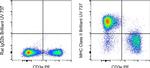 MHC Class II (I-A/I-E) Antibody in Flow Cytometry (Flow)