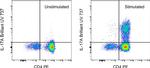 IL-17A Antibody in Flow Cytometry (Flow)