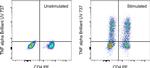 TNF alpha Antibody in Flow Cytometry (Flow)