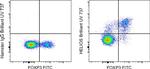 HELIOS Antibody in Flow Cytometry (Flow)