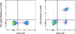 CD4 Antibody in Flow Cytometry (Flow)