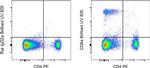 CD8a Antibody in Flow Cytometry (Flow)