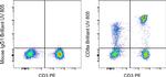 CD8a Antibody in Flow Cytometry (Flow)