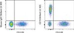 CD19 Antibody in Flow Cytometry (Flow)