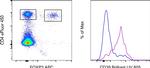 CD39 Antibody in Flow Cytometry (Flow)