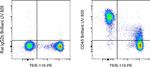 CD45 Antibody in Flow Cytometry (Flow)