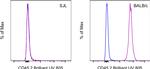 CD45.2 Antibody in Flow Cytometry (Flow)