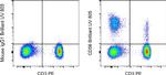 CD56 (NCAM) Antibody in Flow Cytometry (Flow)