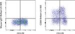 CD69 Antibody in Flow Cytometry (Flow)