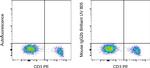 Mouse IgG2b kappa Isotype Control in Flow Cytometry (Flow)