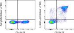 Ly-6G/Ly-6C Antibody in Flow Cytometry (Flow)