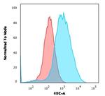 Catenin, gamma (Cardiomyocyte Marker) Antibody in Flow Cytometry (Flow)