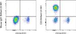 CD3 Antibody in Flow Cytometry (Flow)