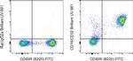 CD16/CD32 Antibody in Flow Cytometry (Flow)