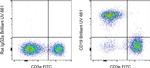 CD19 Antibody in Flow Cytometry (Flow)