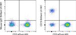 CD19 Antibody in Flow Cytometry (Flow)