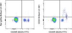 CD20 Antibody in Flow Cytometry (Flow)