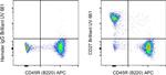 CD27 Antibody in Flow Cytometry (Flow)