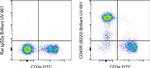 CD45R (B220) Antibody in Flow Cytometry (Flow)