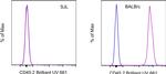 CD45.2 Antibody in Flow Cytometry (Flow)