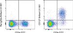 CD127 Antibody in Flow Cytometry (Flow)