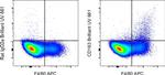 CD163 Antibody in Flow Cytometry (Flow)