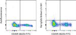 Rat IgG2b kappa Isotype Control in Flow Cytometry (Flow)