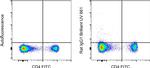 Rat IgG1 kappa Isotype Control in Flow Cytometry (Flow)