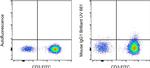 Mouse IgG1 kappa Isotype Control in Flow Cytometry (Flow)