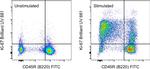 Ki-67 Antibody in Flow Cytometry (Flow)