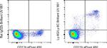 Ly-6G/Ly-6C Antibody in Flow Cytometry (Flow)