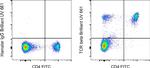 TCR beta Antibody in Flow Cytometry (Flow)