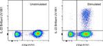 IL-22 Antibody in Flow Cytometry (Flow)