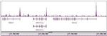 ASH2L Antibody in ChIP-Sequencing (ChIP-Seq)