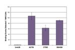 Histone H3K27ac Antibody in ChIP Assay (ChIP)