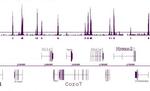 Histone H3K4me2 Antibody in ChIP-Sequencing (ChIP-Seq)