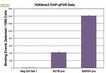 Histone H3K4me3 Antibody in ChIP Assay (ChIP)