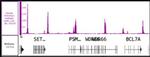 Histone H3K4me3 Antibody in ChIP-Sequencing (ChIP-Seq)